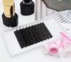 Picture of Classic Lashes