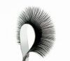 Picture of Flat Lashes