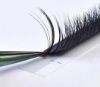 Picture of Easy Fan Lashes