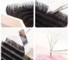 Picture of Easy Fan Lashes