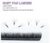 Picture of Easy Fan Lashes