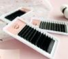 Picture of Easy Fan Lashes