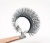 Picture of Y&W Shape Lashes  Y&W 形状睫毛