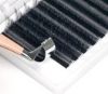 Picture of Y&W Shape Lashes  Y&W 形状睫毛