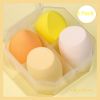 Picture of Angular Beauty Blender