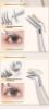 Picture of Eyelash Extension Tweezers, Professional Eyelash Artist Store-Specific Stainless Steel High-Precision Golden Feather Clip, Full Set of Tools, Butterfly Clip